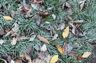 How you can Beat the Winter Blues… — Estée La...