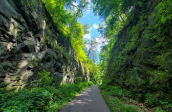 The Little Issues E-newsletter #426 – Life, ...