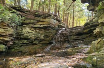 The Little Issues E-newsletter #443 – Life, ...