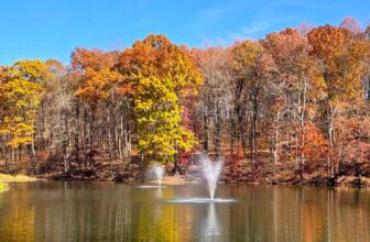 The Little Issues E-newsletter #442 – Life, ...