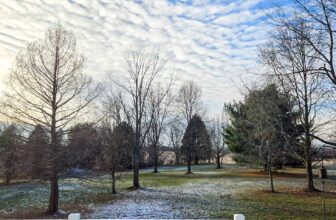 The Little Issues E-newsletter #447 – Life, ...