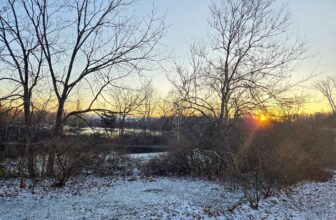 The Little Issues Publication #448 – Life, l...