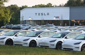 Tesla Gross sales Drop for First Time in Over a De...