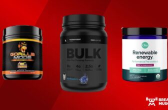 Strongest Pre-Exercise: The Greatest Excessive-Sti...