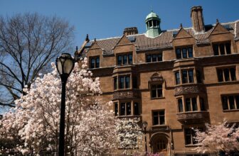 Yale Suspends Palestine Activist After AI Article ...