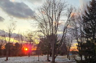 The Little Issues Publication #459 – Life, l...