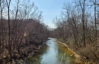 The Little Issues E-newsletter #460 – Life, ...