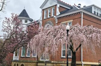 The Little Issues Publication #463 – Life, l...