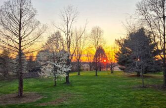 The Little Issues Publication #464 – Life, l...