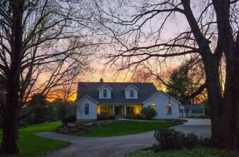 The Little Issues Publication #466 – Life, l...