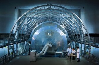 Neutrinos Have No Enterprise Being This Freaking S...