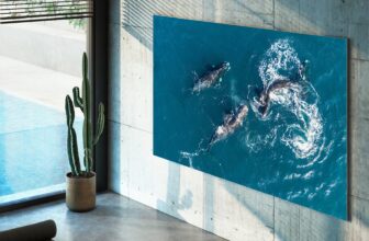 4 expensive TV add-ons and extras nobody actually ...