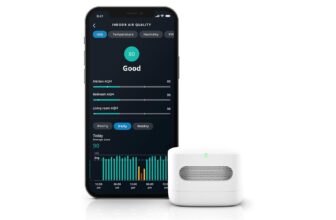 Pollen within the Air, Costs on the Flooring, Amaz...