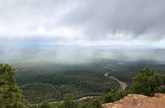 The Little Issues Publication #468 -Life, laughter...