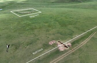 Archaeological Dig Sheds New Gentle on the Differe...