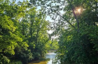 The Little Issues E-newsletter #473 – Life, ...