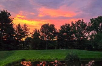 The Little Issues Publication #475 – Life, l...