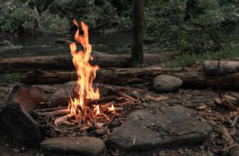 New Concept Suggests Meat Preservation, Not Cookin...