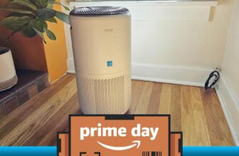 Decide up our favourite air air purifier whereas i...