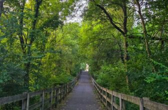 The Little Issues Publication #479 – Life, l...