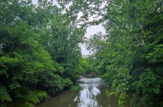 The Little Issues E-newsletter #478 – Life, ...