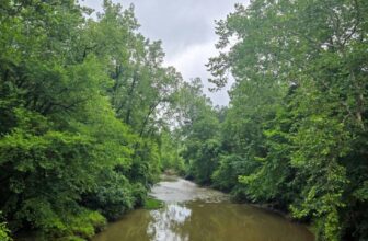 The Little Issues E-newsletter #480 – Life, ...