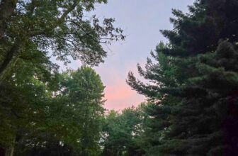 The Little Issues E-newsletter #484 – Life, ...