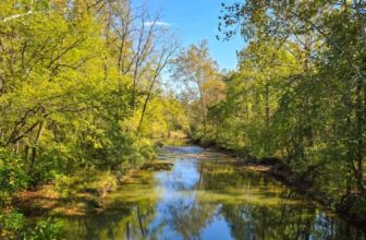 The Little Issues Publication #490 – Life, l...