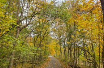 The Little Issues Publication #492 – Life, l...