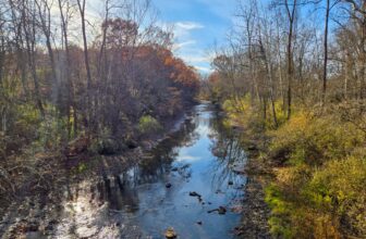 The Little Issues E-newsletter #497 – Life, ...