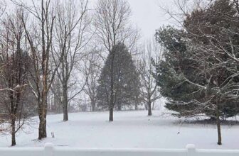 The Little Issues E-newsletter #499 – Life, ...